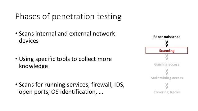 Free lea porn video walker Penetration external os